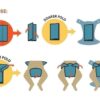 Pack 3 predoblados Grovía talla 4 - Imagen 2